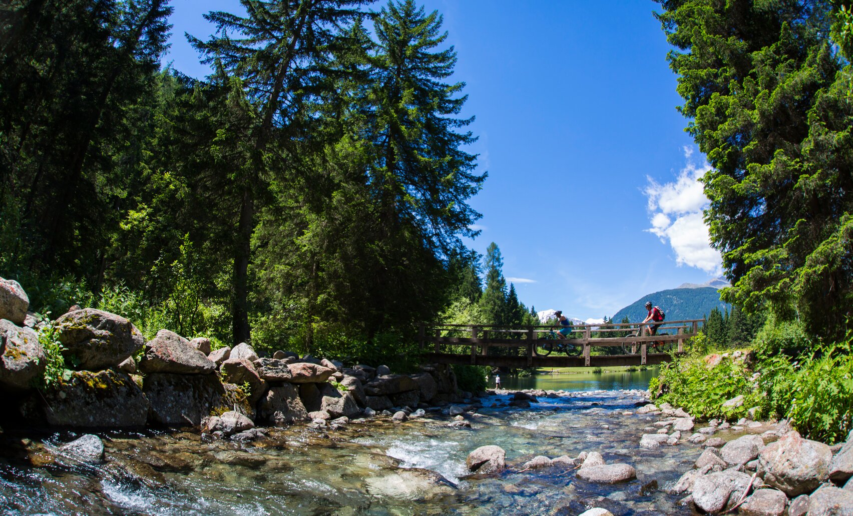 Val di Sole Trentino Sito ufficiale del turismo in Val di Sole